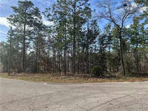 4 Balata Ct, Homosassa, FL 34446