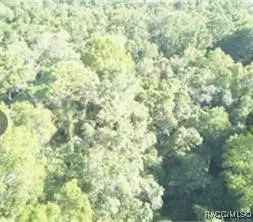 0 Hwy 40 E, Inglis, FL 34449 photo 2