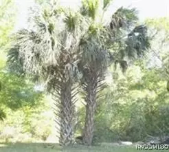 0 Hwy 40 E, Inglis, FL 34449 photo 3