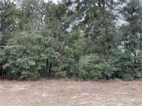10068 N Langdon Rd, Citrus Springs, FL 34434