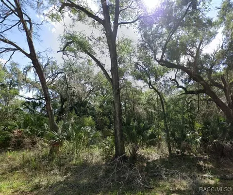 8949 N Valentine Ter, Crystal River, FL 34428