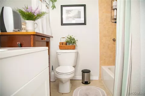 Bath - 6435 N Golden Rain Cir, Hernando, FL 34442 photo 1 of 3