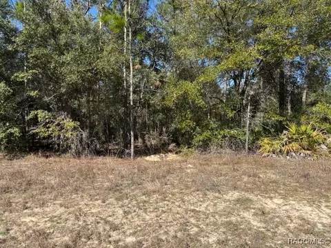 497 W Hummingbird Dr, Citrus Springs, FL 34434