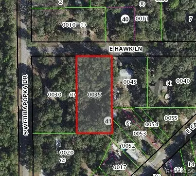 11682 E Hawk Ln, Floral City, FL 34436