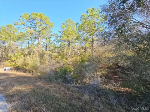 12639 W Checkerberry Dr, Crystal River, FL 34428