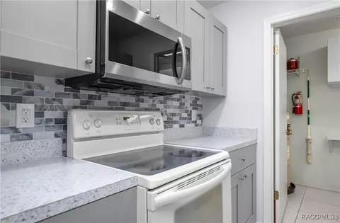 115 E Hartford St #6A, Hernando, FL 34442 photo 13
