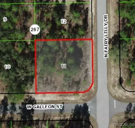 9792 N Fairy Lily Dr, Citrus Springs, FL 34433