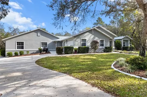 Exterior - 919 W Pearson St, Hernando, FL 34442 photo 14 of 19