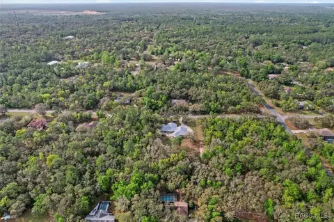 View/Area - 919 W Pearson St, Hernando, FL 34442 photo 9 of 10