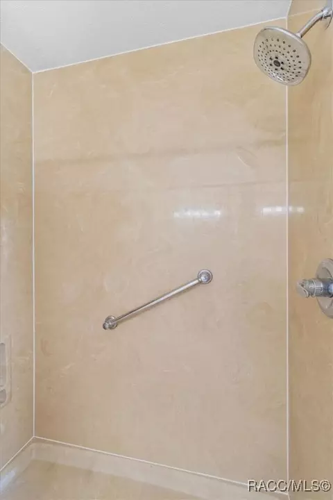 Bath - 919 W Pearson St, Hernando, FL 34442 photo 3 of 7