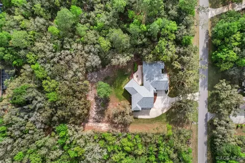 View/Area - 919 W Pearson St, Hernando, FL 34442 photo 7 of 10