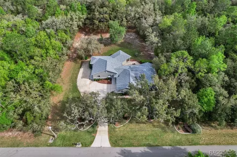 View/Area - 919 W Pearson St, Hernando, FL 34442 photo 6 of 10