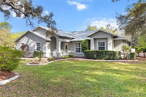 Exterior - 919 W Pearson St, Hernando, FL 34442 photo 15 of 19
