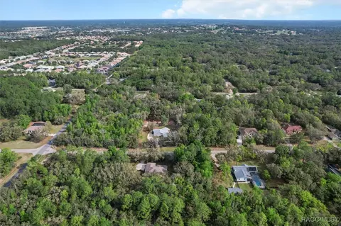 View/Area - 919 W Pearson St, Hernando, FL 34442 photo 10 of 10