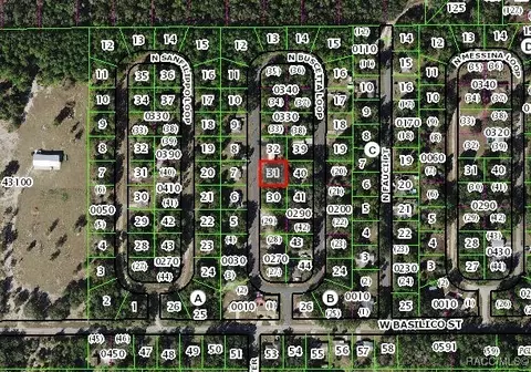 8646 N Buscetta Loop, Crystal River, FL 34428 photo 3
