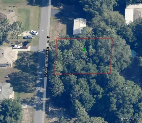 8646 N Buscetta Loop, Crystal River, FL 34428 photo 4