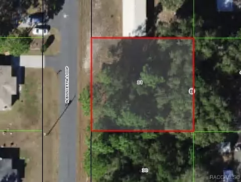 8646 N Buscetta Loop, Crystal River, FL 34428