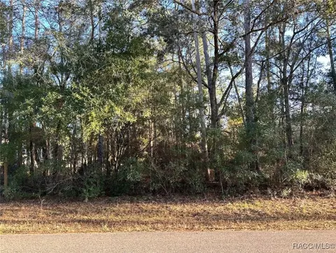 24 W Norwood Pl, Citrus Springs, FL 34434