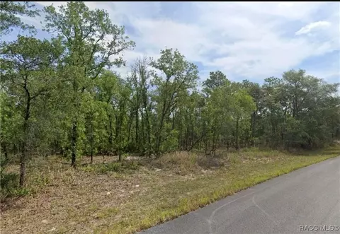 1625 W Swanson Dr, Citrus Springs, FL 34434