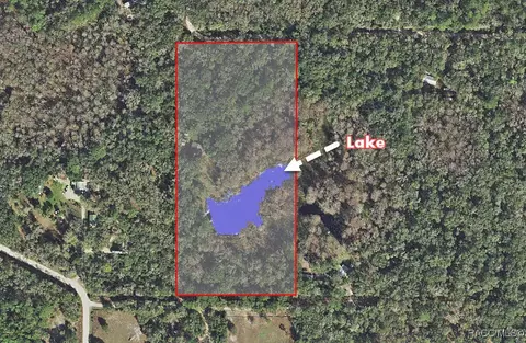 Other - 6306 E Forest Trail Dr, Hernando, FL 34442 photo 1 of 5