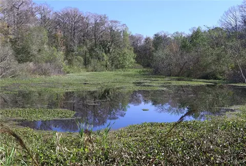 View/Area - 6306 E Forest Trail Dr, Hernando, FL 34442 photo 1 of 2