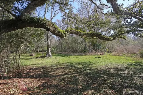 Exterior - 6306 E Forest Trail Dr, Hernando, FL 34442 photo 9 of 10