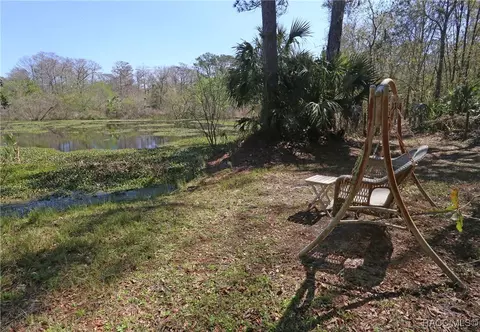 Exterior - 6306 E Forest Trail Dr, Hernando, FL 34442 photo 7 of 10