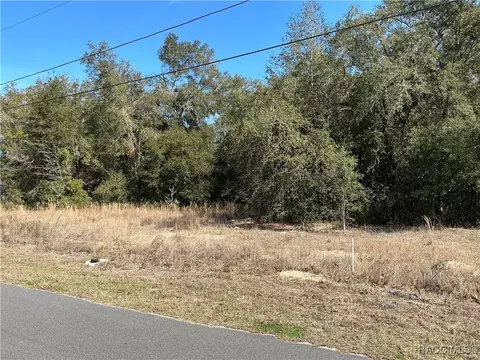 11022 N Academy Dr, Citrus Springs, FL 34434