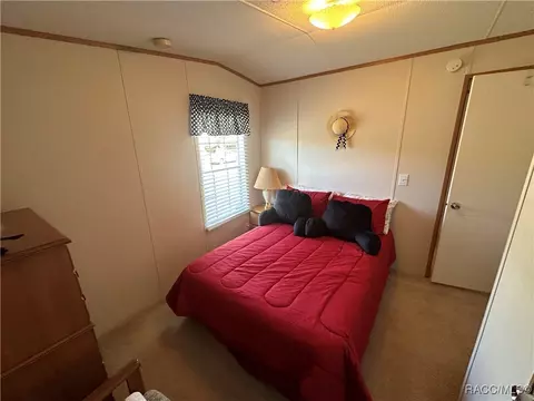 4332 E Wyoming Ln, Hernando, FL 34442 photo 15