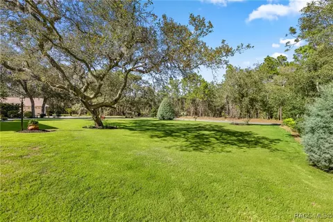 4040 N Little Dove Ter, Hernando, FL 34442 photo 58