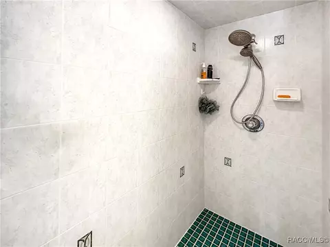 Bath - 3874 E Arbor Lakes Dr, Hernando, FL 34442 photo 7 of 9