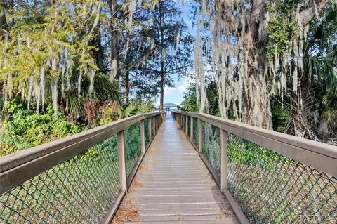 Other - 3874 E Arbor Lakes Dr, Hernando, FL 34442 photo 8 of 11