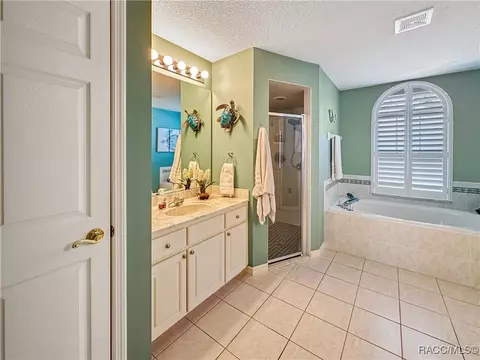 Bath - 3874 E Arbor Lakes Dr, Hernando, FL 34442 photo 2 of 9