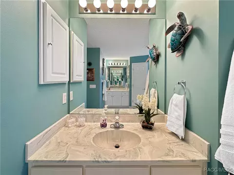 Bath - 3874 E Arbor Lakes Dr, Hernando, FL 34442 photo 6 of 9