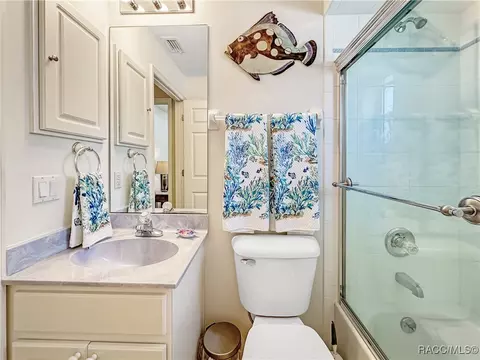 Bath - 3874 E Arbor Lakes Dr, Hernando, FL 34442 photo 8 of 9