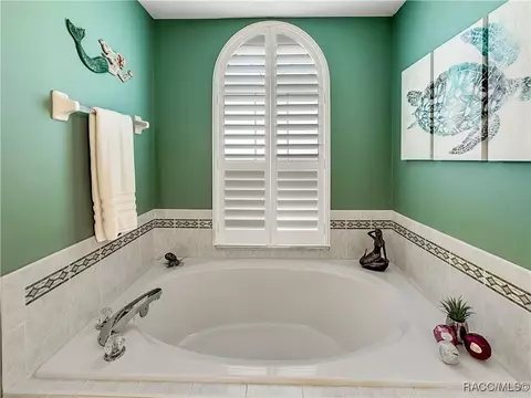 Bath - 3874 E Arbor Lakes Dr, Hernando, FL 34442 photo 4 of 9
