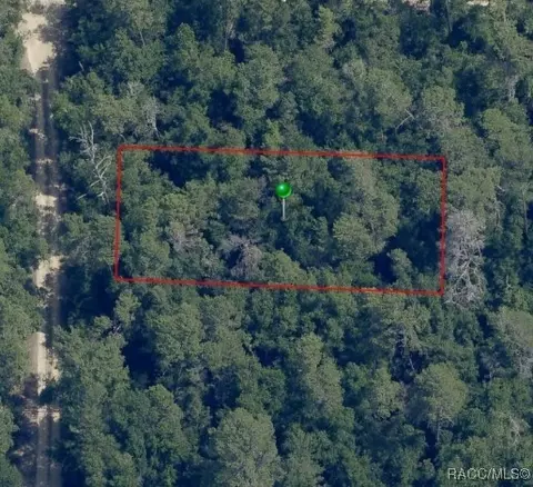 314 Wren Ave, Inverness, FL 34452