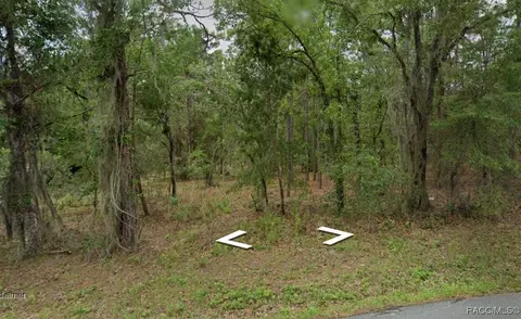 1652 E Mckinley St, Hernando, FL 34442