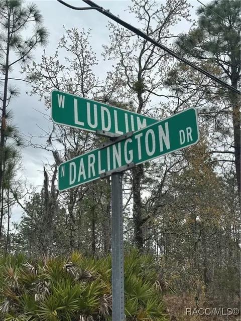 1042 W Ludlum St, Citrus Springs, FL 34434