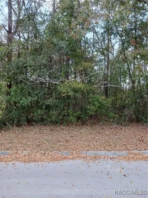 3354 S Oakdale Ter, Inverness, FL 34452