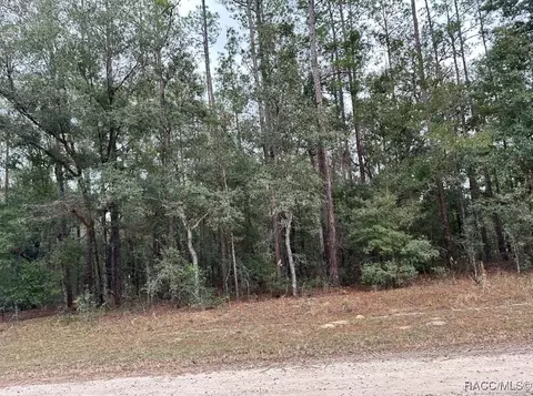 8631 N Pelican Ter, Citrus Springs, FL 34434