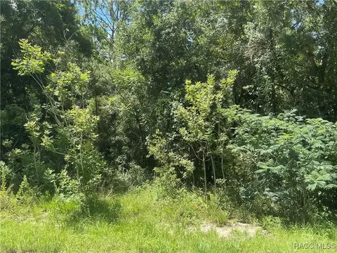 3623 E Sanders St, Inverness, FL 34453