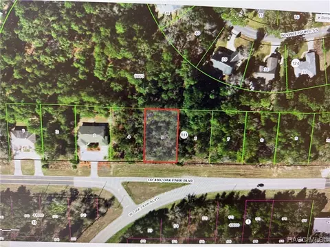 6713 W Oak Park Blvd, Homosassa, FL 34446