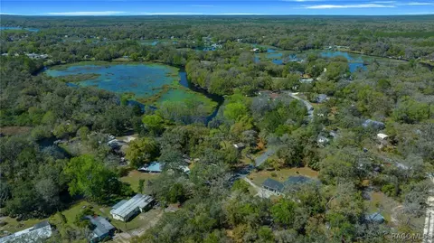 View/Area - 4741 E Lakeview Pl, Hernando, FL 34442 photo 5 of 15