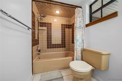 Bath - 4741 E Lakeview Pl, Hernando, FL 34442 photo 4 of 5
