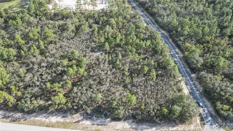 5295 W Angus Dr, Beverly Hills, FL 34465