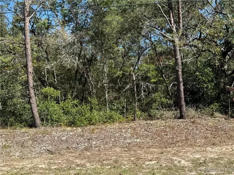 8103 N Gatewood Dr, Citrus Springs, FL 34433