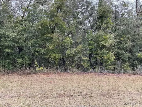 10135 N Athenia Dr, Citrus Springs, FL 34434