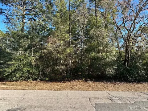 9175 N Commodore Dr, Citrus Springs, FL 34434