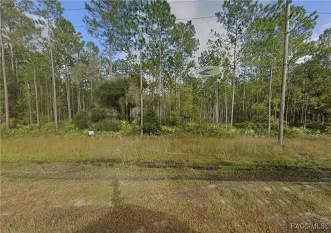 0 County Road 315, Interlachen, FL 32148